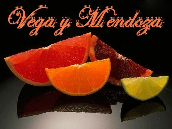 Vega y mendoza foto