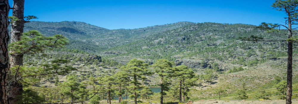Canarias2